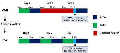 Relation of Decreased Functional Connectivity Between Left Thalamus and Left Inferior Frontal Gyrus to Emotion Changes Following Acute Sleep Deprivation